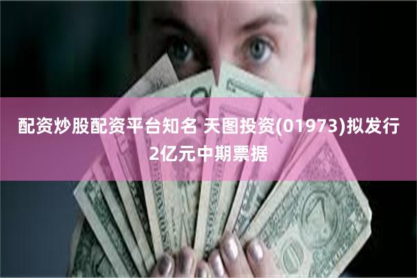 配资炒股配资平台知名 天图投资(01973)拟发行2亿元中期票据