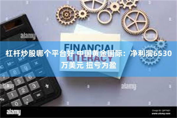 杠杆炒股哪个平台好 中国黄金国际：净利润6530万美元 扭亏为盈