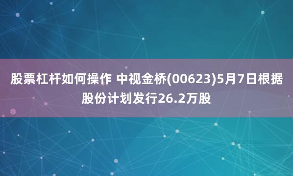 股票杠杆如何操作 中视金桥(00623)5月7日根据股份计划发行26.2万股