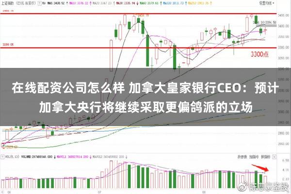 在线配资公司怎么样 加拿大皇家银行CEO：预计加拿大央行将继续采取更偏鸽派的立场