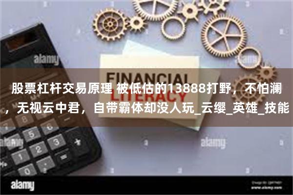 股票杠杆交易原理 被低估的13888打野，不怕澜，无视云中君，自带霸体却没人玩_云缨_英雄_技能