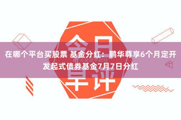 在哪个平台买股票 基金分红：鹏华尊享6个月定开发起式债券基金7月7日分红