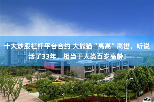 十大炒股杠杆平台合约 大熊猫“高高”离世，听说活了33年，相当于人类百岁高龄！